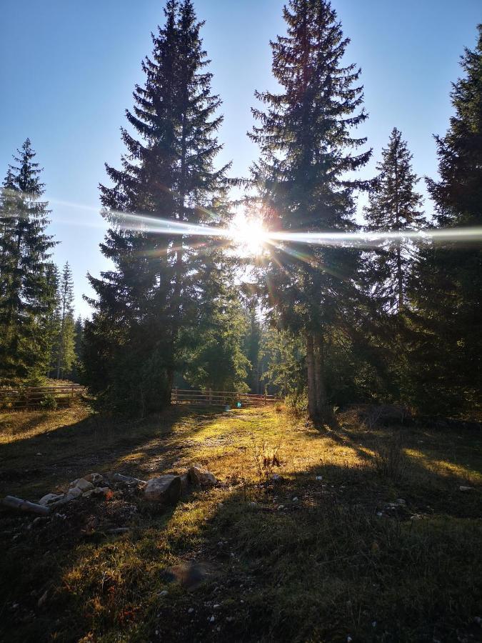 Snowhite Jahorina Villa Eksteriør bilde