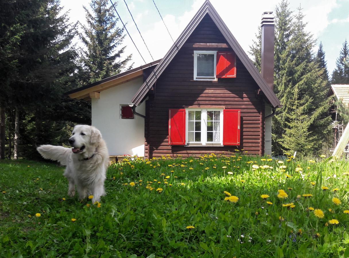 Snowhite Jahorina Villa Eksteriør bilde